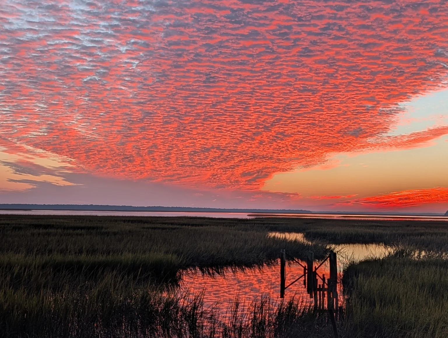 Coral-colored clouds above a tidal marsh, reflected around weathered dock posts. Photograph by Zachary Lund.